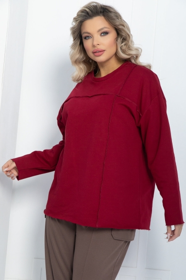 Свитшот Эспен (бордовый) Б11888 Свитшот Эспен (бордовый) Б11888